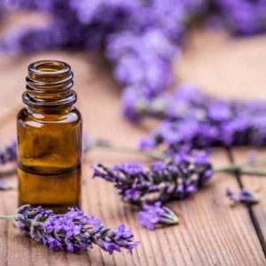 lavender-uses-oil
